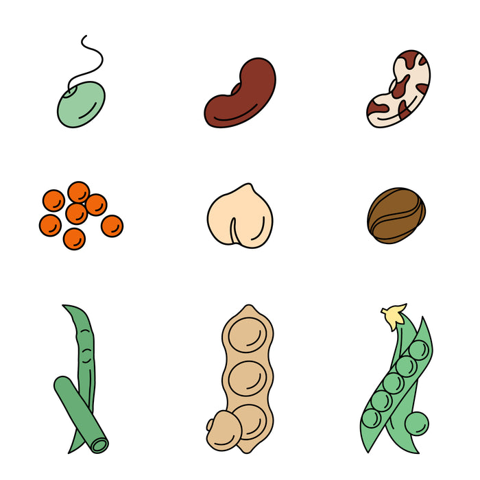 Beans or legumes icons