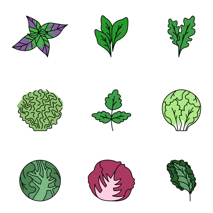 Greens colored icons set