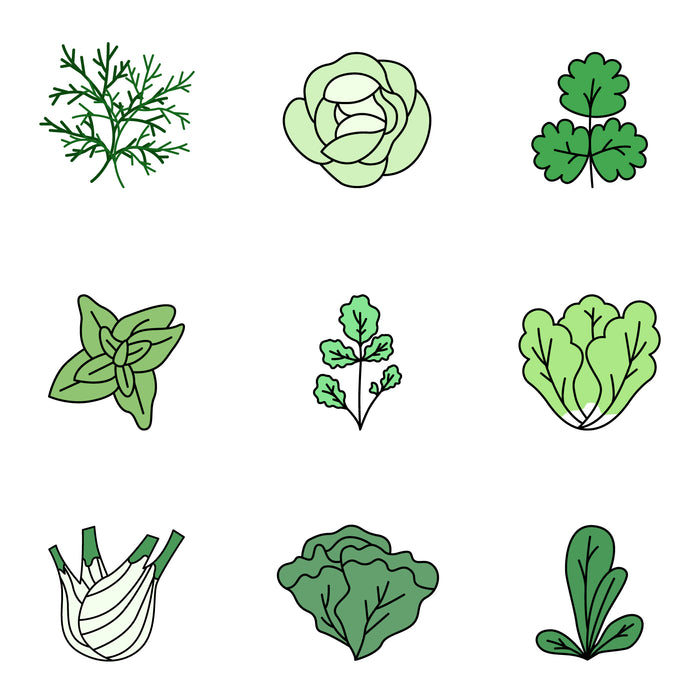 Greens colored icons set