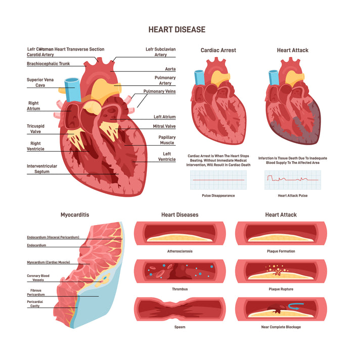 Heart diseases set