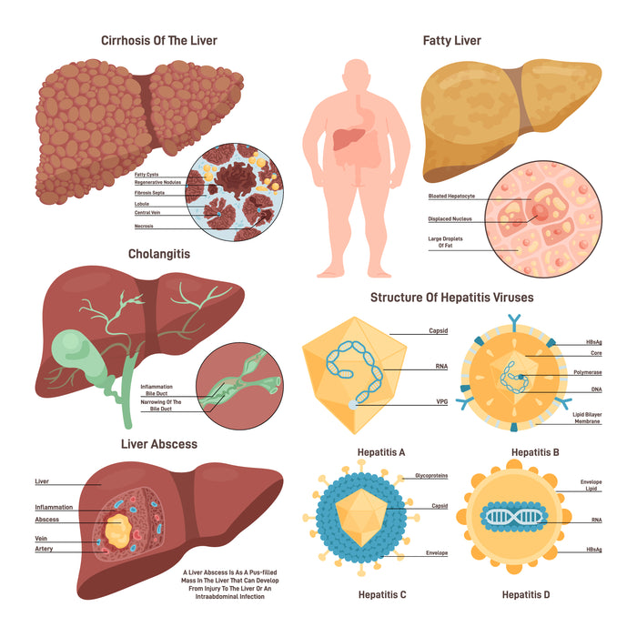 Liver diseases set