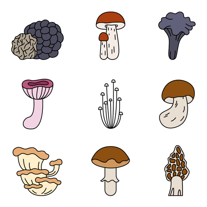 Mushrooms icons set