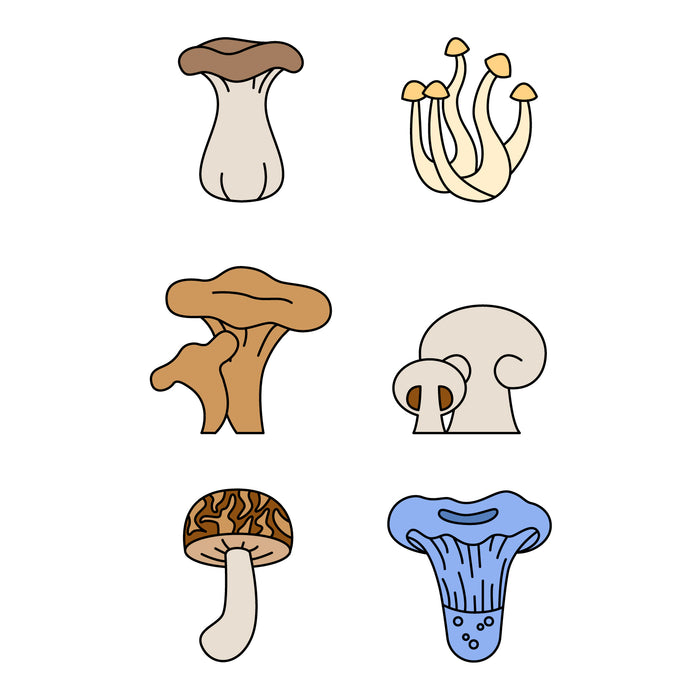 Mushrooms icons set