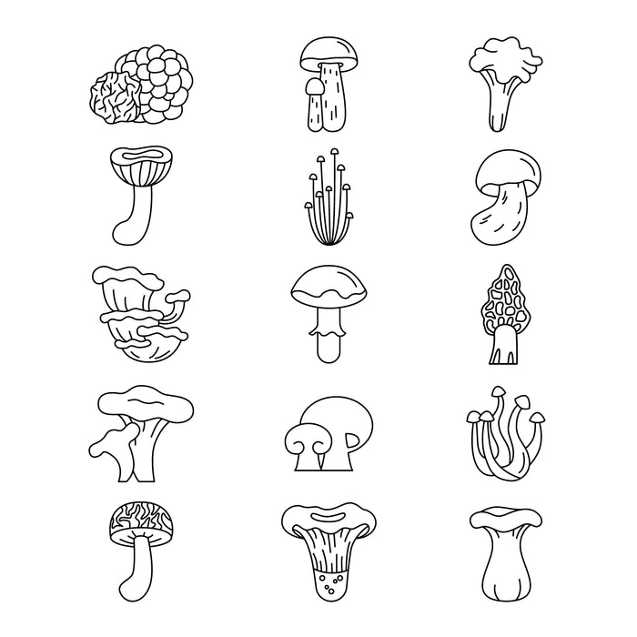 Mushrooms black and white icons set