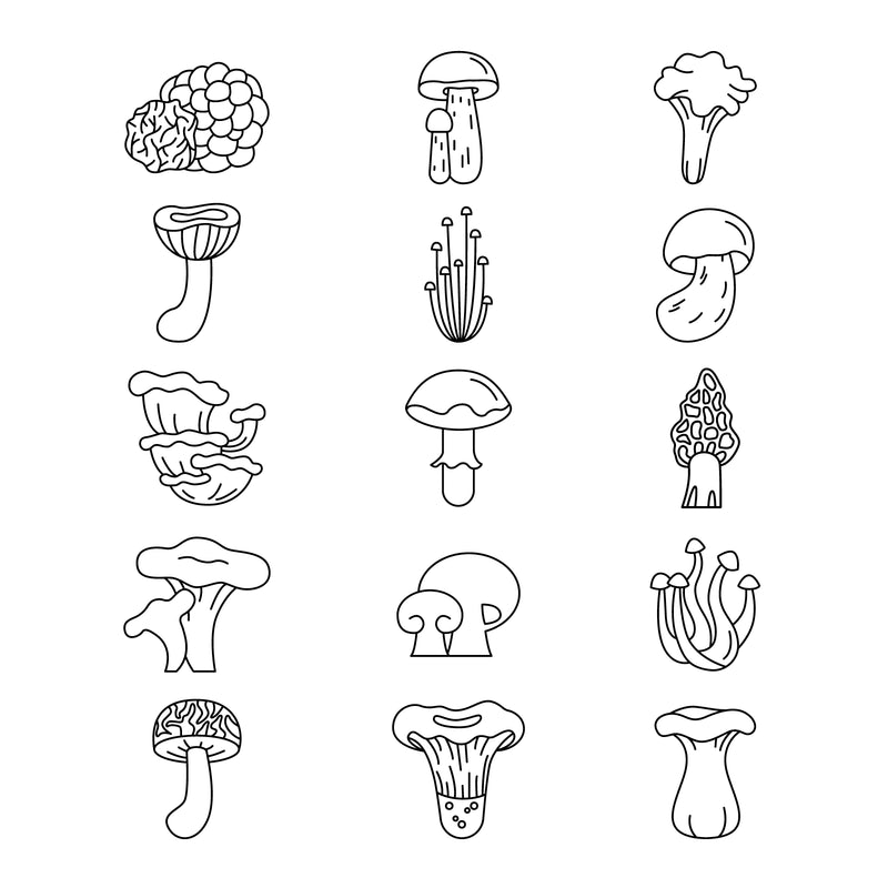 Mushrooms black and white icons set