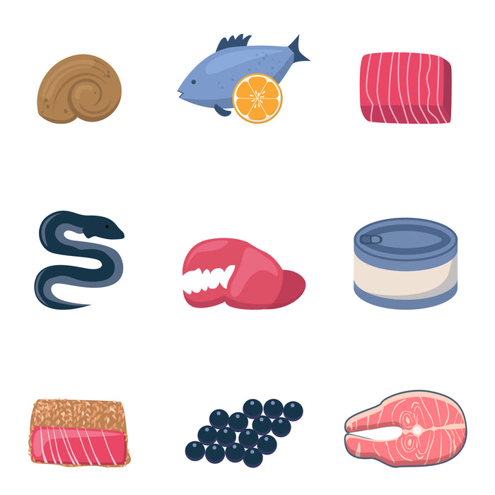 Seafood and raw fish set