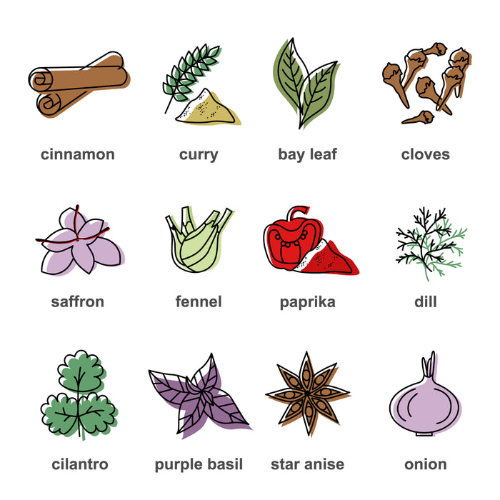 Spices and herbs colored icons set